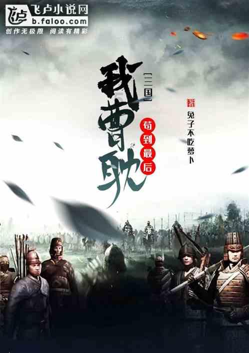 疯狂的小偷